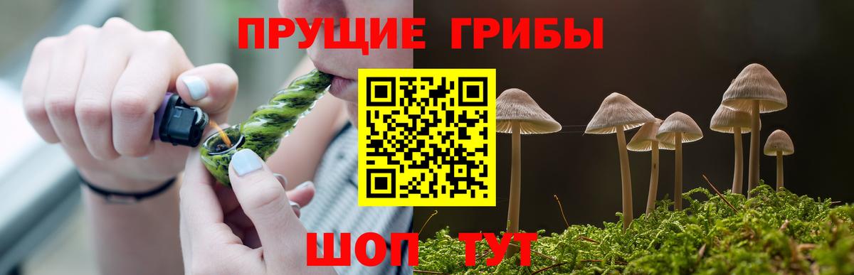 Псилоцибиновые грибы Psilocybe  дарнет шоп  Прокопьевск  Галлюциногенные грибы мицелий  Вход с VPN 
